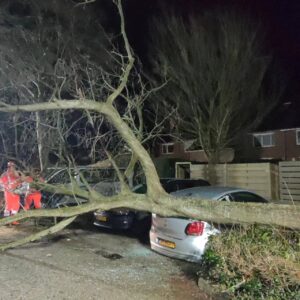 Schade door storm Jocelyn, boom valt op auto