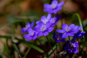 Wisselvallig weer tijdens start zomertijd