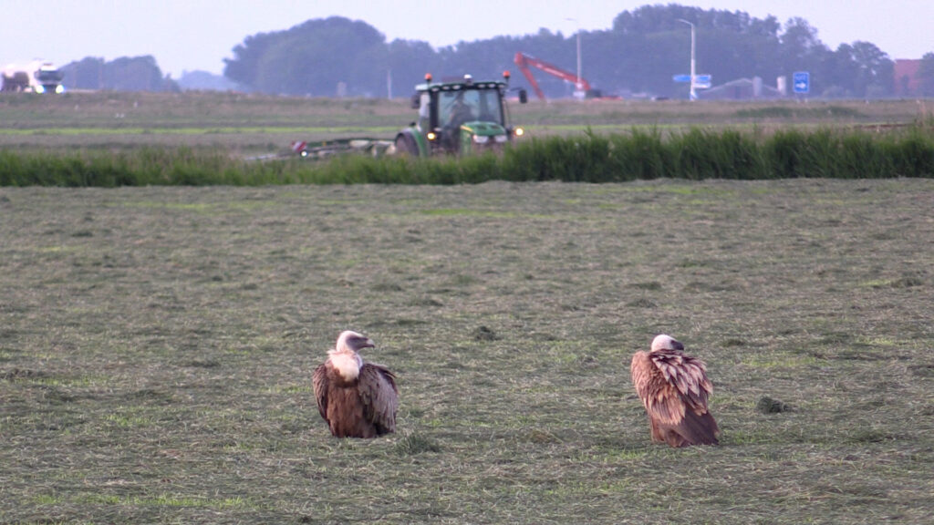 RBNieuws.nl - Het laatste nieuws uit Friesland, Groningen en Drenthe