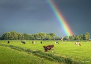 Weekverwachting: overgang naar rustig herfstweer
