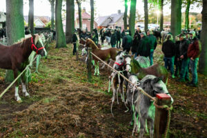 Drukke en gemoedelijke 824e editie van Zuidlaardermarkt in Zuidlaren