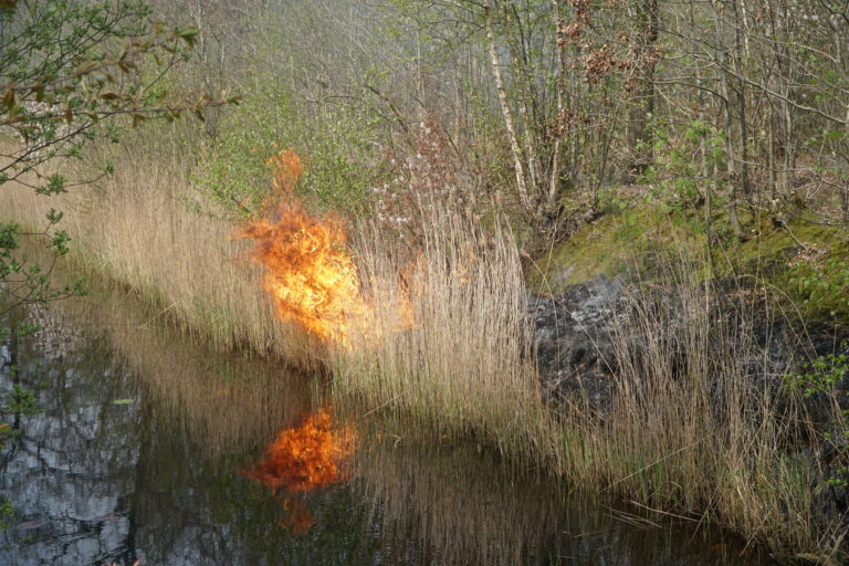 Brandweer blust natuurbrand in Heerenveen